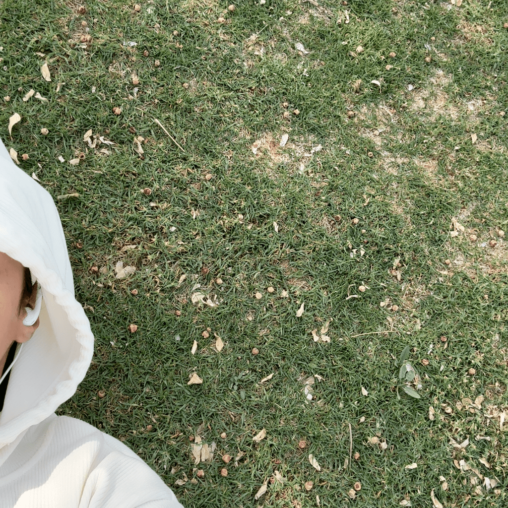 رائحة العُشب النديّة