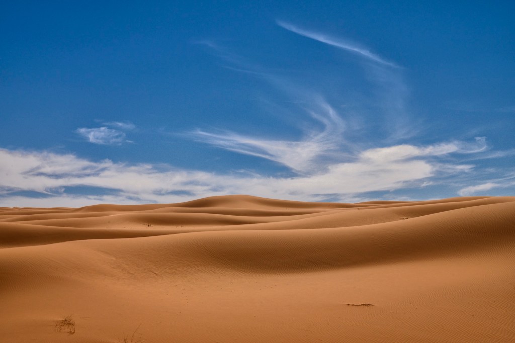 2 | يوم اخترقت صورة الصحراء&nbsp;روحي